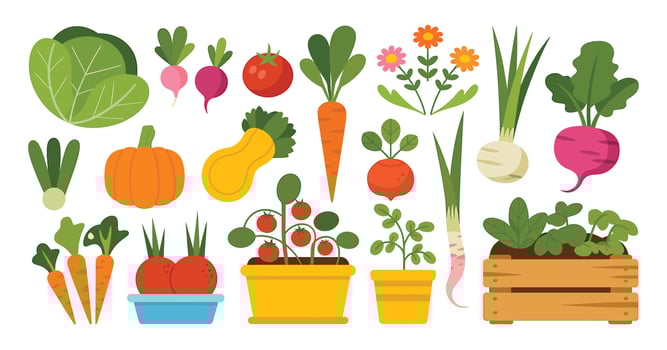 Cartoon garden vegetables and flowers illustration vector