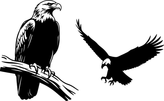 Two majestic eagles one perched and one in flight silhouette vector