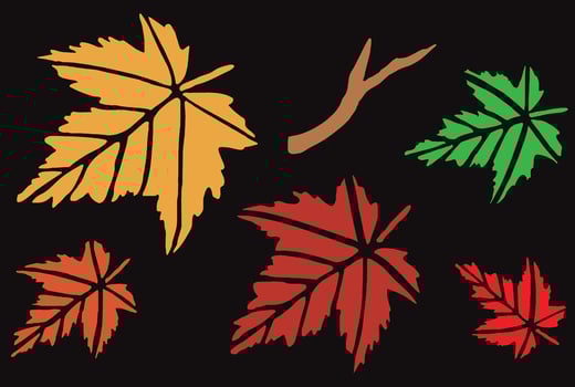 Autumn Leaves Decorative Illustration vector