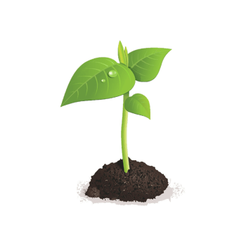 Small green sprout growing from soil isolated on transparent background png