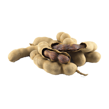 Pile of tamarind pods with some opened isolated on transparent background png