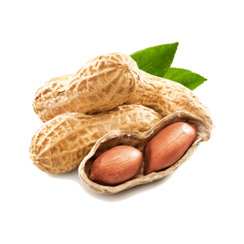 Pile of peanuts with shells and green leaves isolated on transparent background png