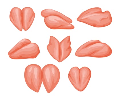 Illustration of chicken thigh cuts vector