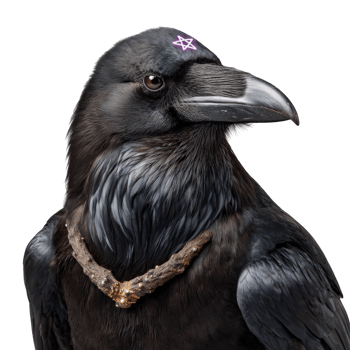 Detailed Close Up of Black Bird with Unique Markings and Natural Accessories in Artistic Style png