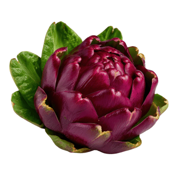 Vibrant Artichoke Flower with Rich Purple Petals Surrounded by Fresh Green Leaves in Isolated Background png