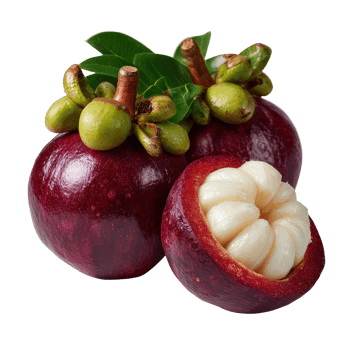 Fresh Mangosteen Fruit with Green Leaves and a Cross Section Showing White Sweet Flesh png