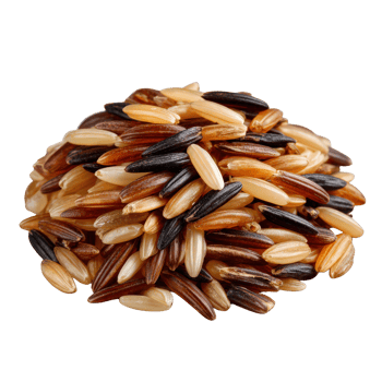A Close Up View of Mixed Raw Grains Including Various Types of Brown and Black Rice Varieties png