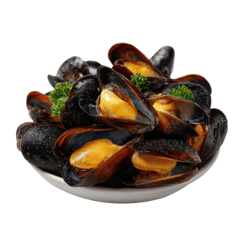 Freshly Cooked Mussels with Green Garnish on a White Plate Surrounded by Shells and Broccoli Florets png