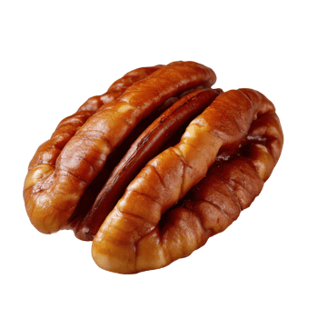 Close up View of a Single Pecan Nut Revealing Unique Texture and Natural Brown Coloration png