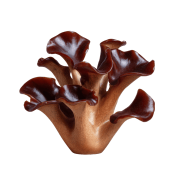 Highly Detailed Wooden Sculpture with Flowing Organic Shapes and Rich Brown Finish png