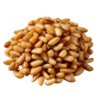 A Close Up View of Lightly Toasted Pine Nuts Piled on for Culinary and Nutritional Uses png
