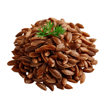 Close Up View of Brown Seeds Piled Together with a Fresh Green Herb on Top in Studio Lighting png