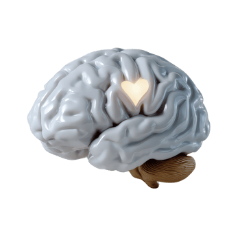 Heart Inside a Gray Brain Sculpture Illustrating Love and Knowledge Concept in Modern Art png