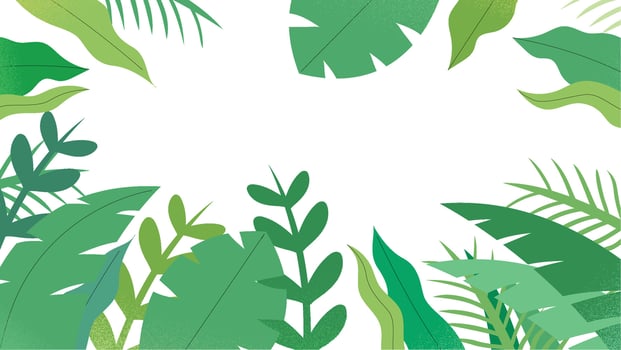 green leaves border design vector
