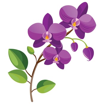Floral and Nature Graphic for Decoration vector