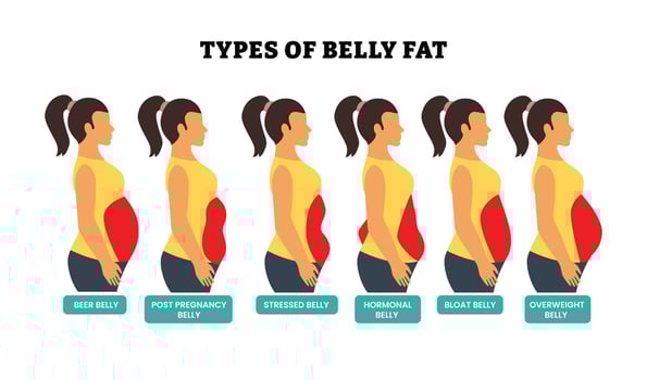 Different types of belly fat in women vector