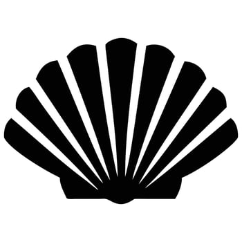 A black and white shell icon on a white background vector