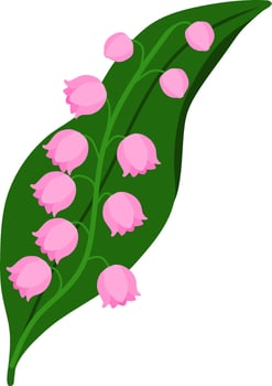 Spring Blooming Pink Lily of the Valley vector