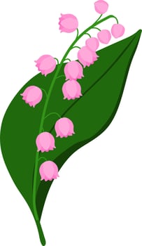 Pink Lily of the Valley Flower Illustration with Green Leaves vector
