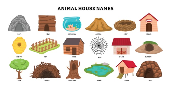 Various animal house names and illustrations vector