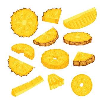 Pineapple slices and shapes collection vector