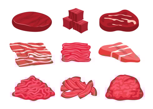 Fresh meat cuts including steaks and ground beef vector