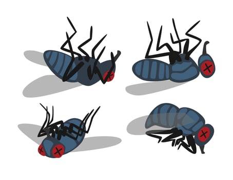 Illustration of dead flies vector