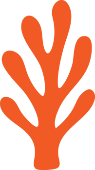 big coral and orange png