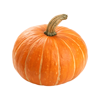Vibrant orange pumpkin with ribbed surface and curved stem gourd squash png