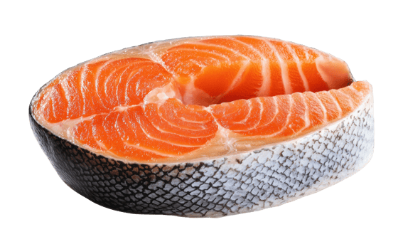 Fresh salmon trout steak slice of fresh raw fish png