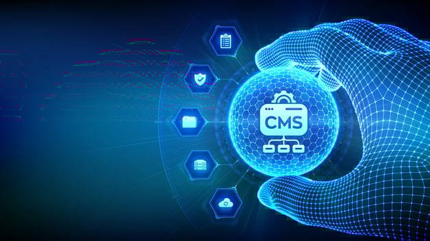 Hand holding CMS icon in digital design vector