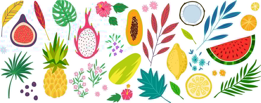 Tropical fruits and leaves illustration vector