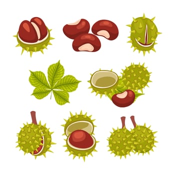 Illustration of chestnuts and leaves vector