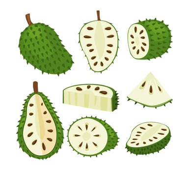 Different types of soursop fruit vector