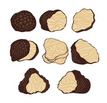 various chocolate and cookie shapes vector