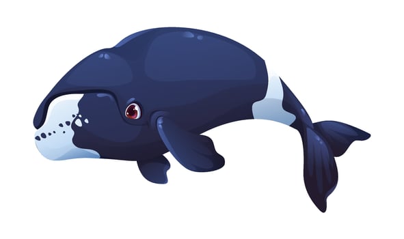 Big whale character swimming underwater vector