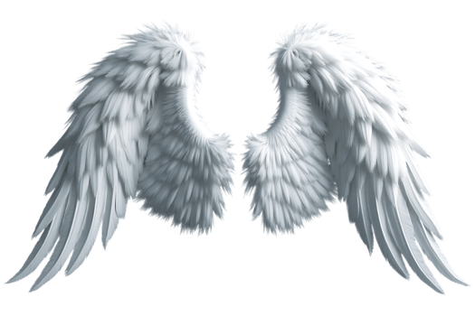 Fluffy white angel wings isolated on transparent background png