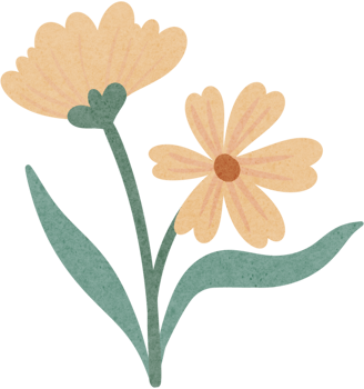 Cream-Colored Flowers of Tenderness png