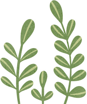 Soft Green Leaves in Misty Morning png