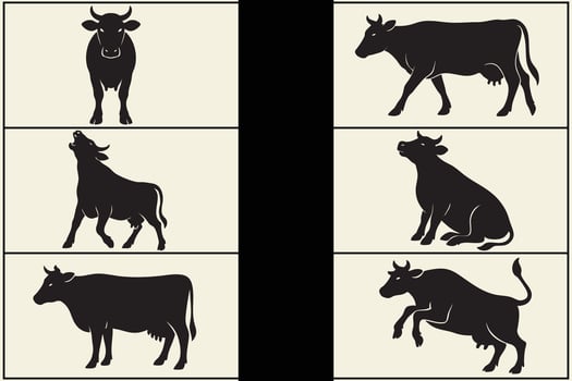 Six editable silhouettes of cows in various poses vector