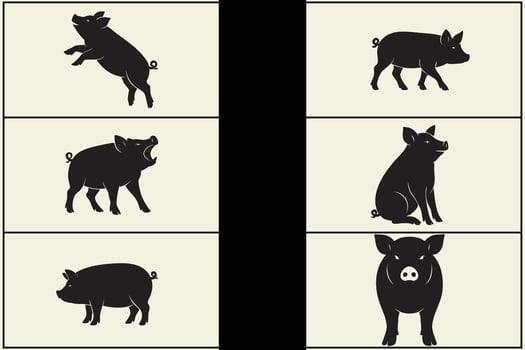 Six editable black silhouettes of pigs in various poses vector