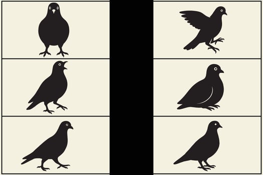 Collection of pigeon silhouettes in various poses vector