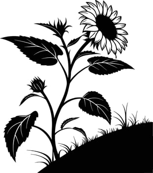 Detailed black silhouette of a tall sunflower plant growing on a grassy hill vector