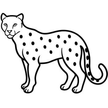 Black and white cheetah illustration with spots animal vector