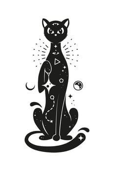 Black cat with magic mystic esoteric ornament vector