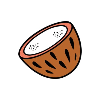 Hand drawn illustration of a half coconut with white flesh and brown shell vector