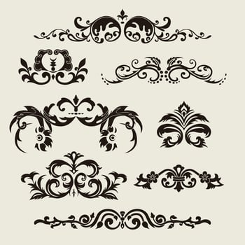 Calligraphic design elements and page decoration vector