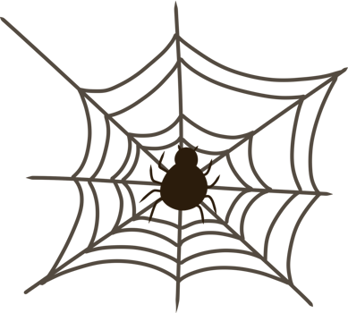 a spider web with a black spider at the center png