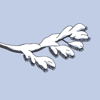 Snow covered tree branch with white snowflakes on blue sky background illustration vector