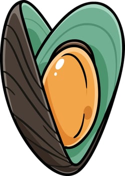 Mussel shell seafood illustration with orange inner flesh and green shell background vector